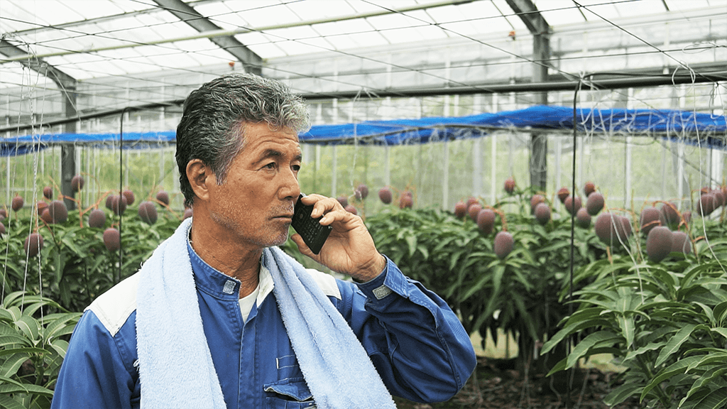 株式会社kddiウェブコミュニケーションズ